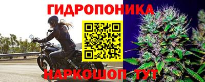 круглые Заволжье