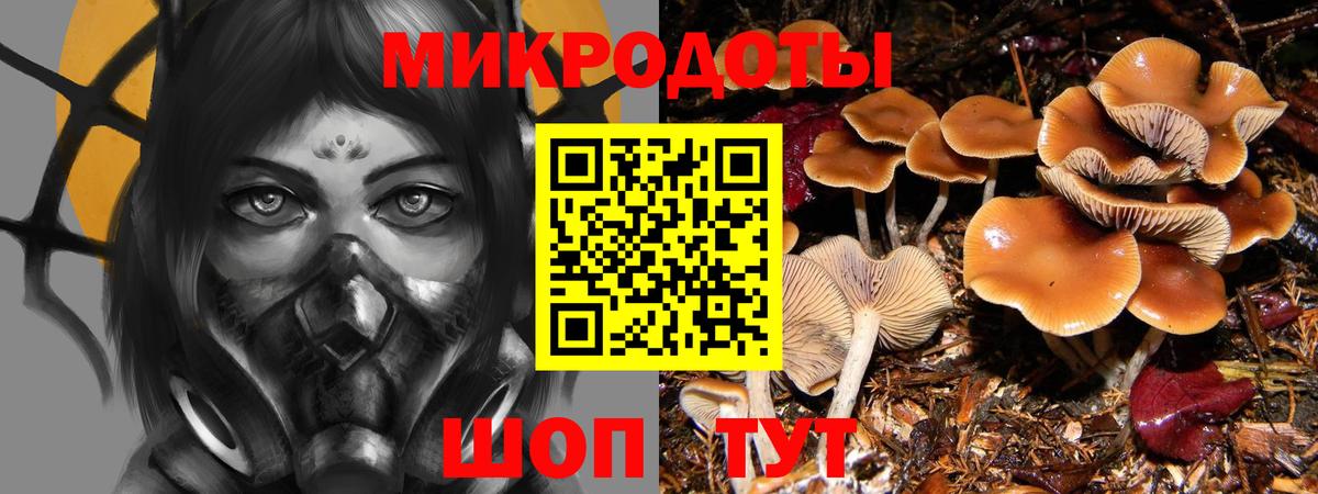 Псилоцибиновые грибы ЛСД Ливны