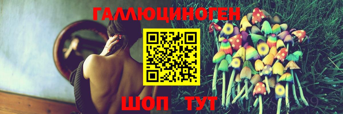 Ливны  Псилоцибиновые грибы Psilocybe  Вход с VPN 