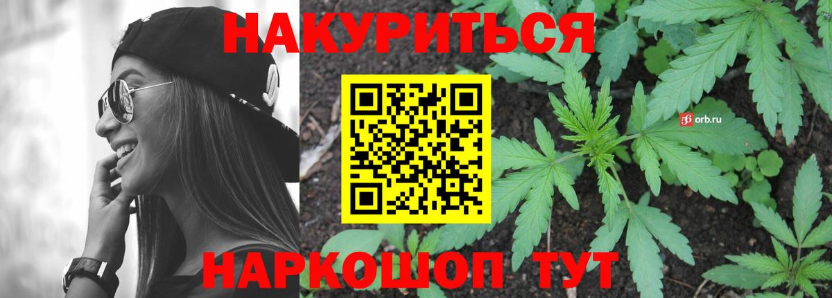 Конопля тримм  Конопля план  Ливны  Бошки Шишки MAZAR  Вход с VPN  Бошки Шишки гибрид 